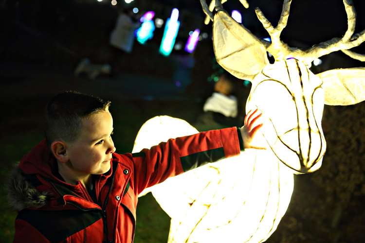 image of child touching a lit up reindeer